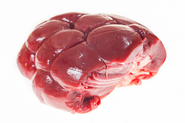 Cow kidneys on a white background