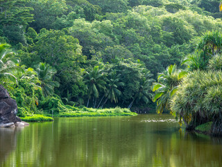 Rainforest idyll on the island of Mahé.