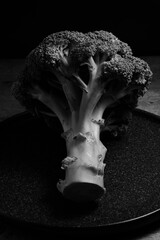 Beautiful shadows on brocoli in black and white image.