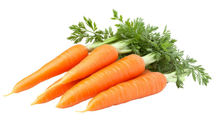 Bunch of fresh carrots with green leaves on transparent background