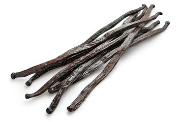 High-Resolution Image of Premium Bourbon Vanilla Beans Isolated on White
