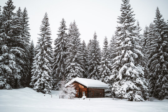 alpine chalet in the forest