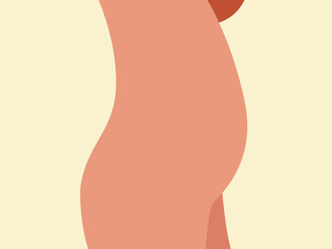Cartoon female body with big belly