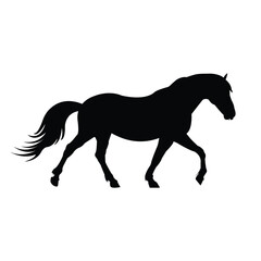 Horse silhouette vector illustration design with white background.