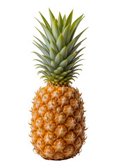 Fototapeta premium Striking Portrait of a Fresh Pineapple Against a Clean White Backdrop
