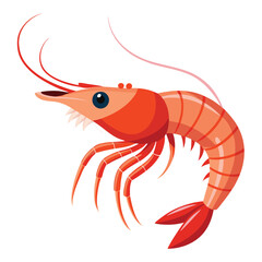 colorful shrimp vector image on white background