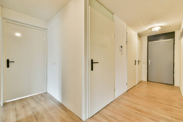 A spacious and well-lit interior hallway featuring clean lines, contemporary doors, and wooden flooring, providing a welcoming and stylish entryway.