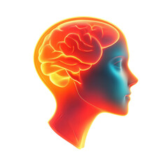 Obraz premium Illuminating the Mind: A Visualization of Thought