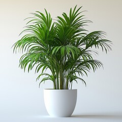 Obraz premium Elegant green palm plant in minimalist white pot for modern interior decor ideas