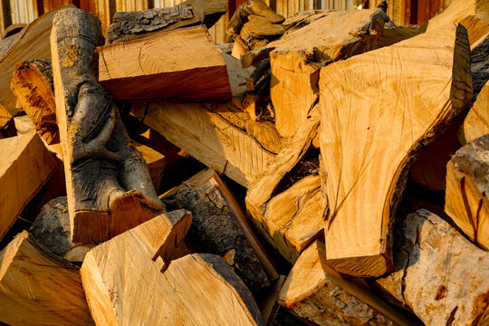 Piles of wood