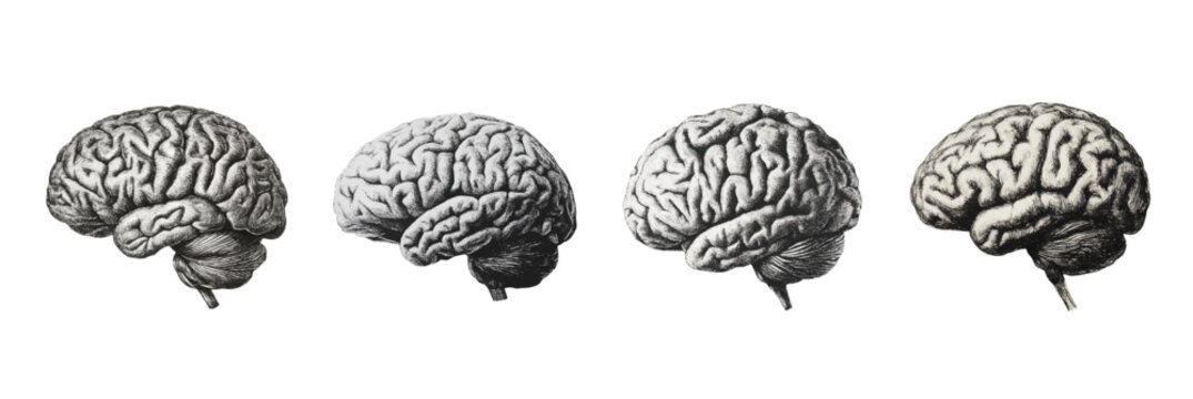 Set of human brain in halftone style. Vintage brain elements on transparent background. Retro elements for collages. Halftone brain element for creating collages, designs, etc. Vector illustration.