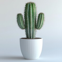 Minimalist cactus in white pot against neutral background: modern home decor aesthetics