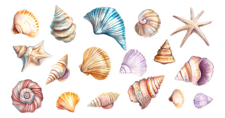 Watercolor set of sea shells. Various sea and ocean shells. Beach elements. Sea mollusk elements. Sea and ocean elements concept. Vector illustration.