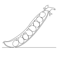 One continuous single drawing line art flat doodle freshness, pea, bean, natural, vitamin, nutrition, vegetable. Isolated image hand draw contour on a white background
