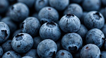 A pile of small, round, deep blue blueberries with a slightly frosted look.