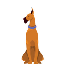 Dog Breed as Domestic Pet in Sitting Pose Vector Illustration