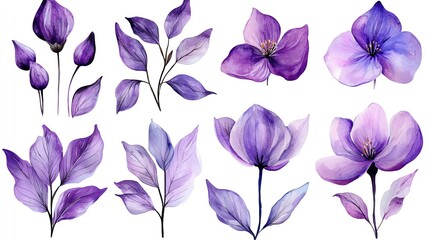 Vegetables and farm produce. Collection set watercolor fresh farm vegetables. Elegant purple floral watercolor illustrations.