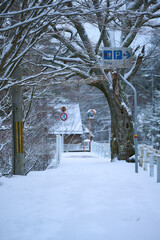 雪に覆われた歩道