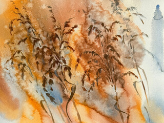 Dry herbs on color and cloudy watercolor background