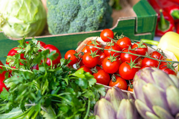 Farm grown organic vegetables background