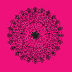 pink flower background