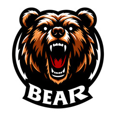Bear head vector and illustrations.