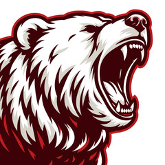 Bear head vector and illustrations.