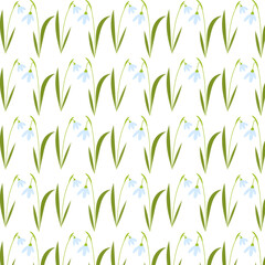 Spring first flowers, snowdrops flowers, seamless pattern, floral background, vector illustrations