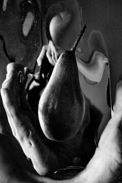 Hand holding a pear with reflections in monochrome