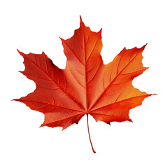 autumn maple leaf isolated on transparent background. Generative ai