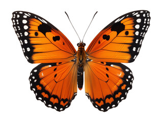Orange and black butterfly isolated on transparent background. Generative ai