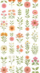 The vibrant flower pattern features bold colors and intricate details, enhancing any visual design. 