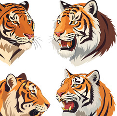 Fierce Tiger Head Vector Illustration