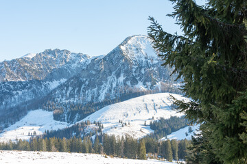 Magnificent views of the winter mountain landscape with snow-covered slopes, forests and clear blue skies.