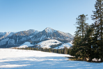 A quiet winter day in the mountains: serene snowy slopes, dark spruce trees and a bright blue sky.