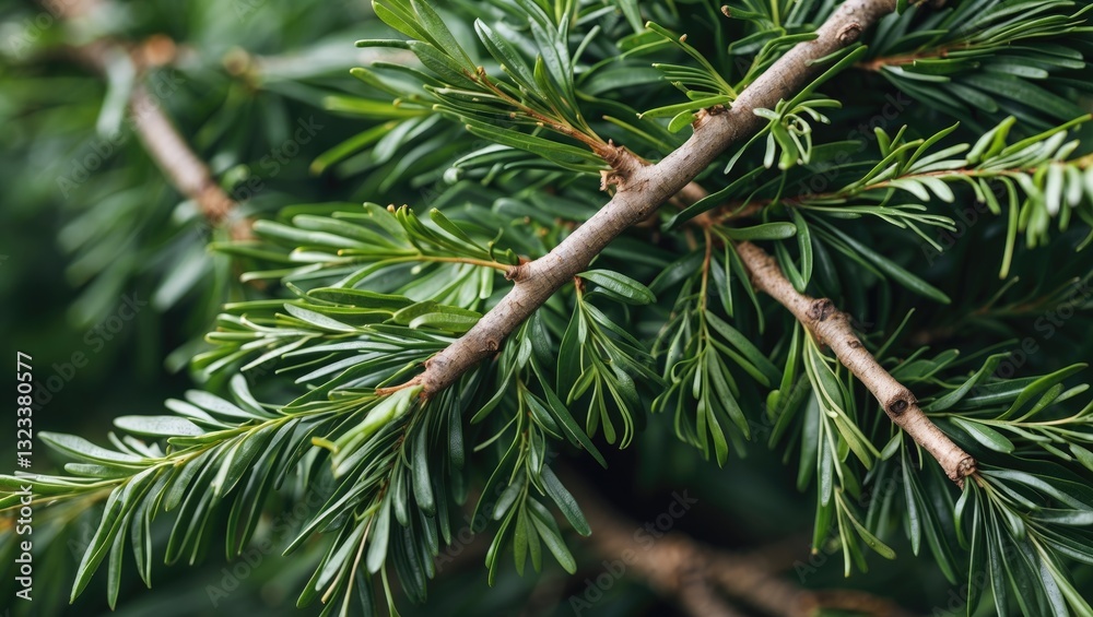 Poster detailed close-up of lush green linden leaves with brown twigs intersecting against a blurred dark g