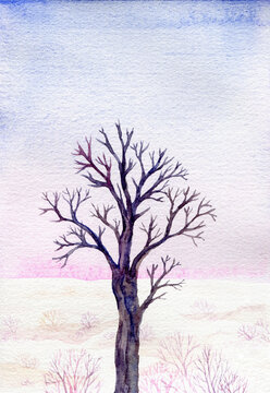 winter tree