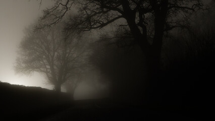 A country road on a foggy winters night