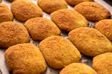 Cottage cheese pancakes on a baking sheet.Dessert.Syrniki