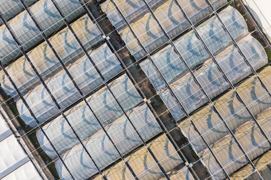 Aerial View of a Modern Greenhouse Complex