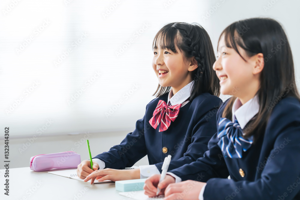Aufkleber 勉強、学習、学習塾、教室、女の子、授業、予備校、受験、笑顔、小学生、小学校、私立、クラス、制服、ブレザー、楽しい、嬉しい、合格、試験、テスト、教育、子ども、子供、成長、努力、ノート、机、友達、姉妹、ポジティブ、元気、日本人、スクール、コピースペース、広告、明るい、爽やか、リラックス、中学、課題、会話、春季講習、夏期講習、冬季講習、入試、個別指導、女子、クラスメイト、人物