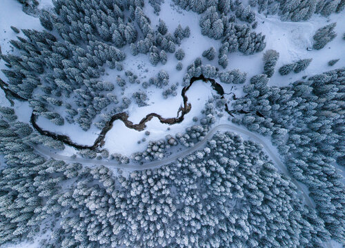 Top down drone shot of snow covered pine forest and river