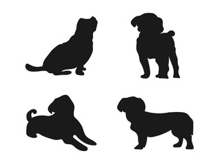 Lhasa Apso silhouette real in black. Lhasa Apso Dog on the move. Dog in different poses. jumps runs. The dog is sitting. Vector illustration isolated on a white background.
