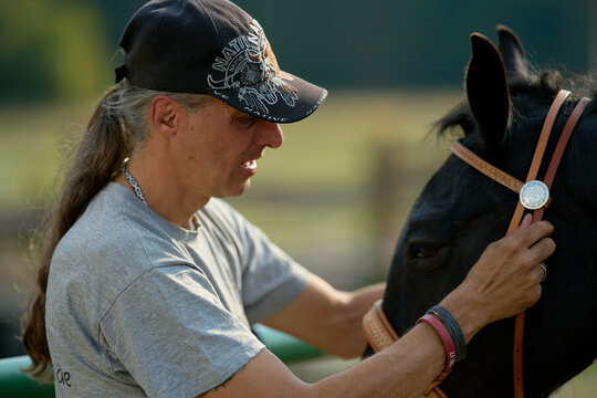 Man with a cap adjusting a bridle on a black horse in an outdoor setting. Brandenburg, Germany