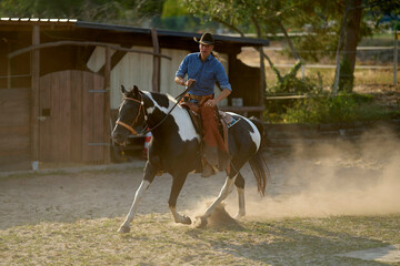Cowboy riding a black-and-white horse on a dusty ranch at sunset Brandenburg, Germany