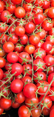 Red cherry tomatoes with green stems are piled together; some are attached to thin, spiky vines, while others are loose and scattered;
