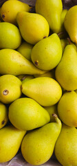 Ripe yellow-green pears with smooth skin and small brown stems are piled together; some have minor blemishes and natural imperfections;