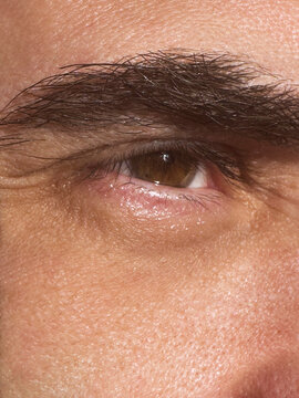 Brown eye and eyebrow closeup