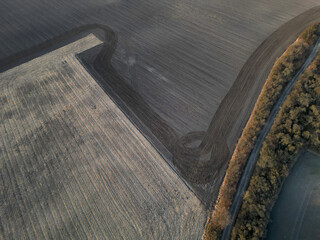 spring work in the field. tractor carries branches cut somewhere on the border as invasive woody...
