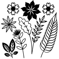black and white flowers